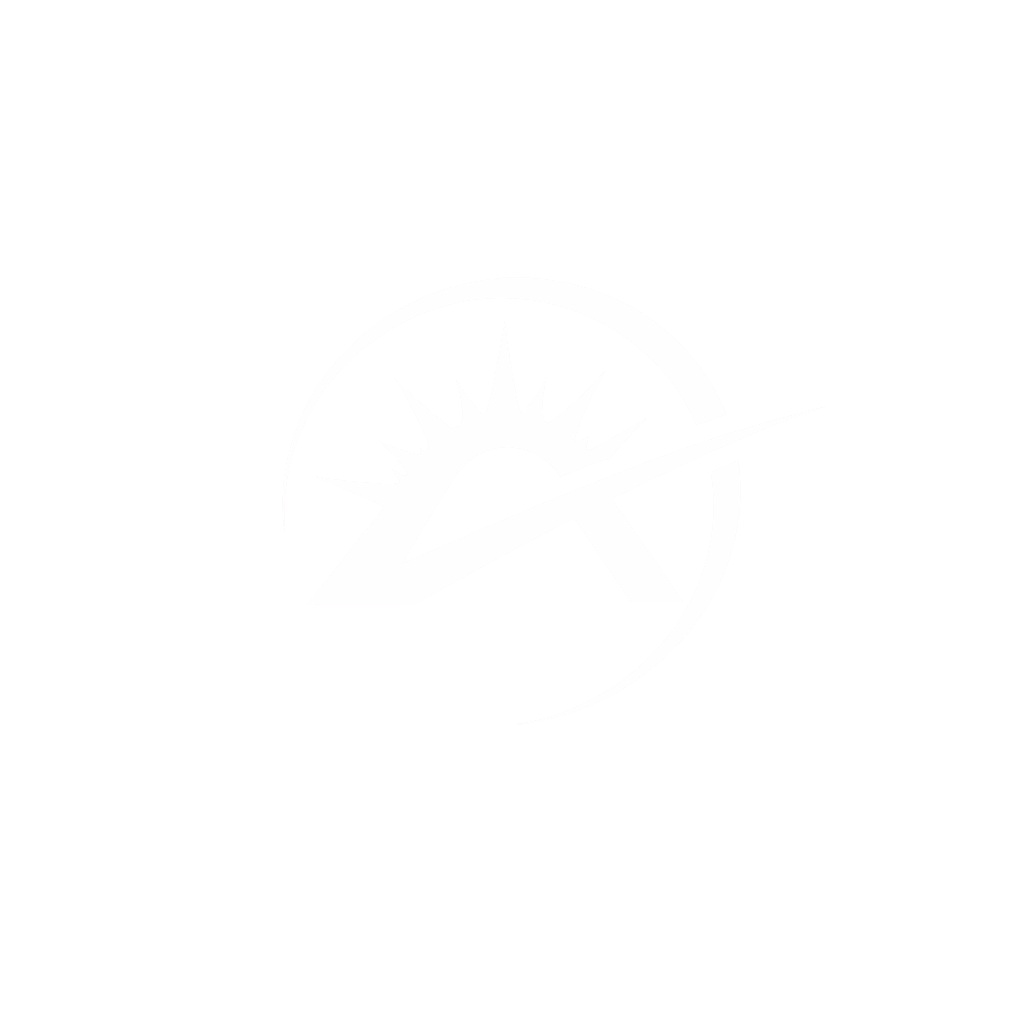 Apollo logo dark